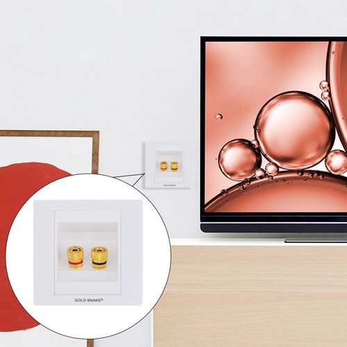 Gold plated speaker - plated,