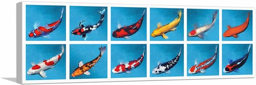 Artcanvas koi carp - carp, fish