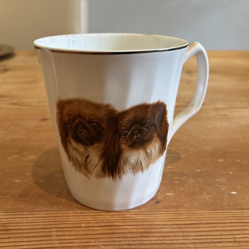 Pekingese dog mug english - dog,