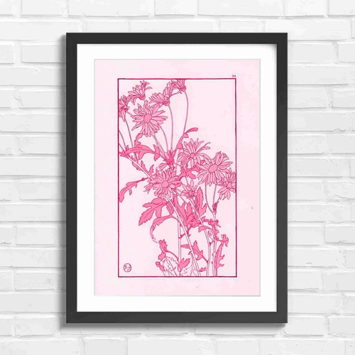 Art nouveau pink daisy - daisy, floral