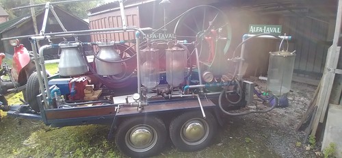 Amanco vintage alfa - ,