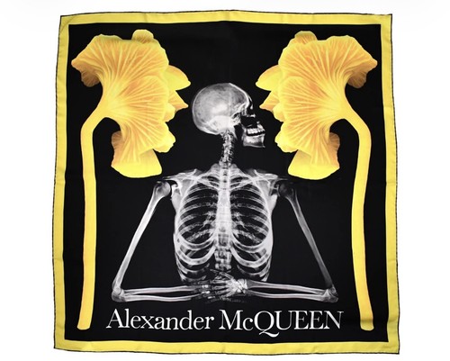 Alexander mcqueen - 🆕️alexander,