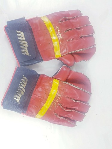 Pro century wicket keeping - pro,