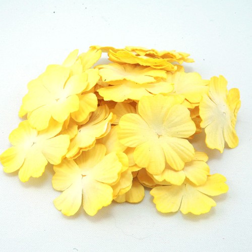 Sunshine mulberry paper blooms - mulberry,