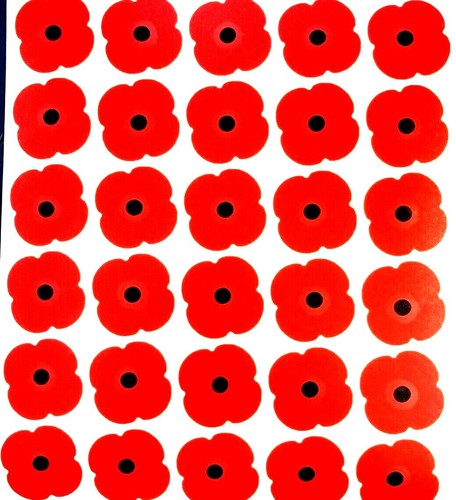 Remembrance poppies red 30 - poppies,
