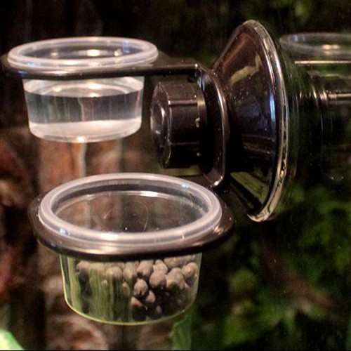 Reptile feeder feeding - reptile, feeder,