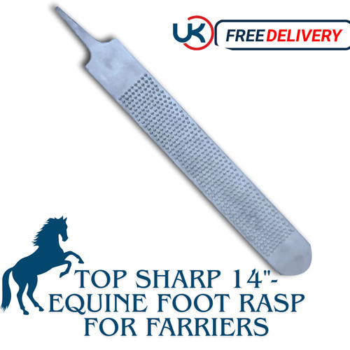 Double sided horse - double, hoof
