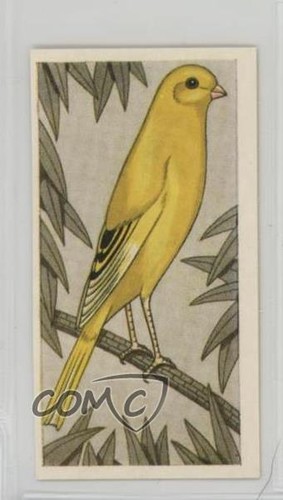1960 barratt cage aviary - 1960,