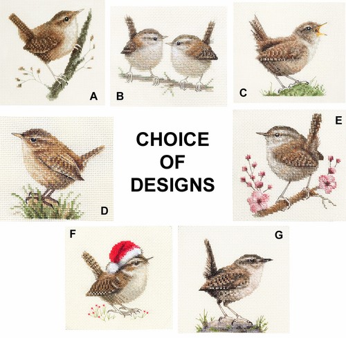 Wren bird full - wren,, counted