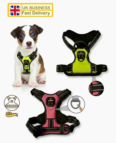 Masbrill dog chest harness - dog,