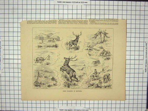 Original old antique print - old,