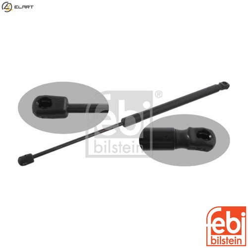 Gas spring bootcargo area - gas,