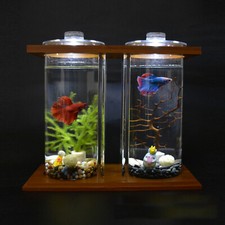 Glass Betta Fish Tank Bamboo