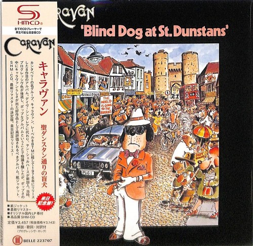 Caravan blind dog - caravan,