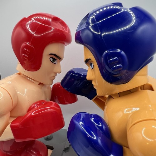 Boxer boxing match - match, motion