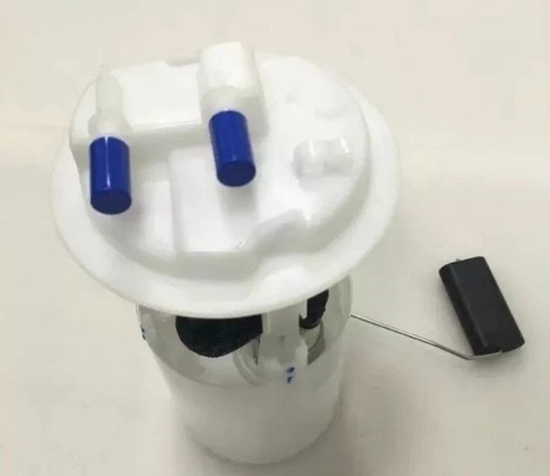 Fuel pump assembly for peugeot - for,