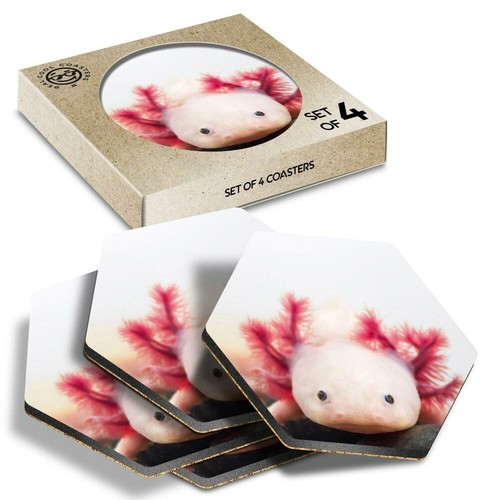 Hexagon coasters axolotl - hexagon,