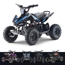 Kids 36V Mini Quad Bike 1000W
