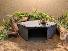 XL Large Personalised Laser Engraved Slate Corner Cave Hide Basking Reptile