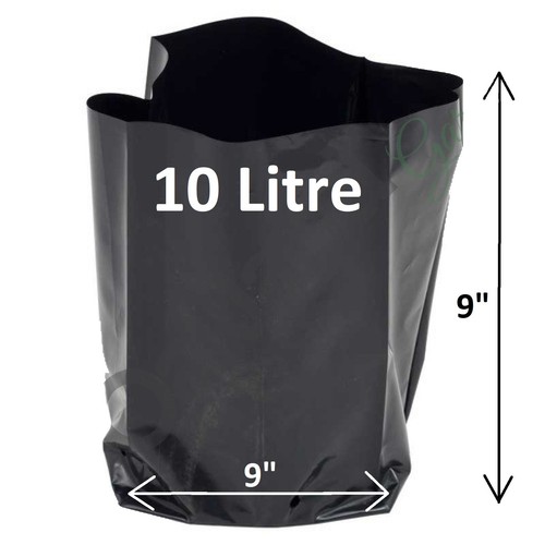 Litre poly plant - poly,