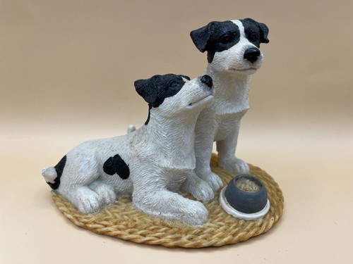 Jack russell dogs regency - jack,