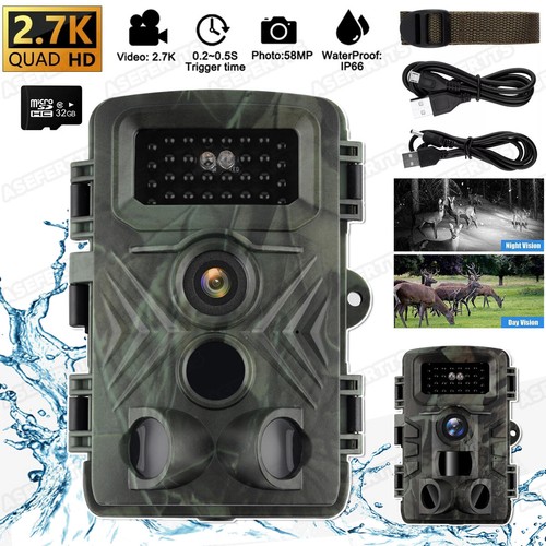 Wildlife trail camera - wildlife,