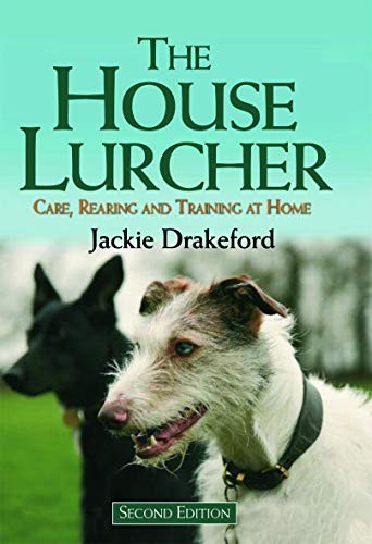 The house lurcher - house, care