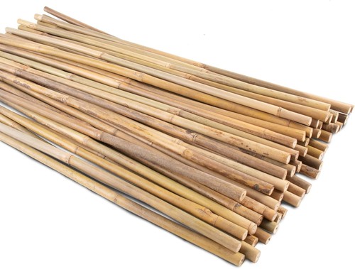 4ft bamboo canes garden plant - 4ft,