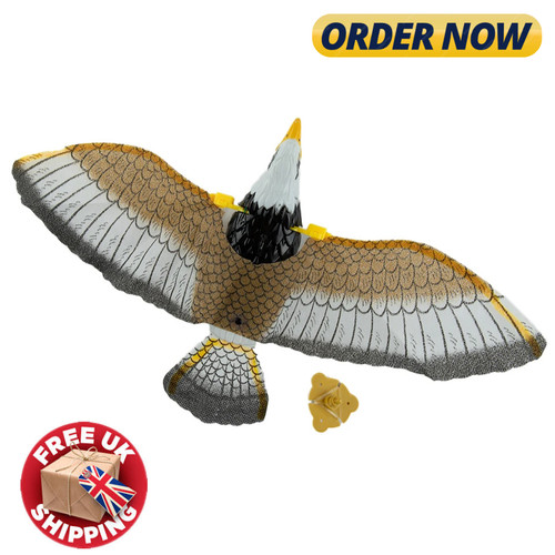 Flying bird hawk scarer - hawk,