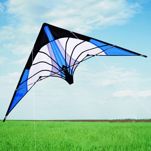 Large stunt power kite - large,