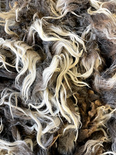 3.5lbs Navajo Churro Spinning Sheep Wool Weaving Raw Wool fiber fleece hair lock