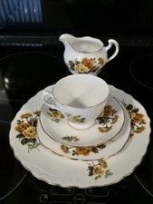 Queen Anne Bone China-Dinner
