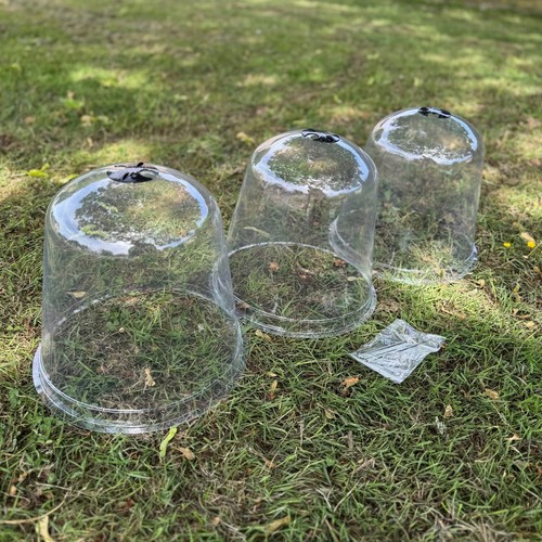 Large plastic plant protection - large,