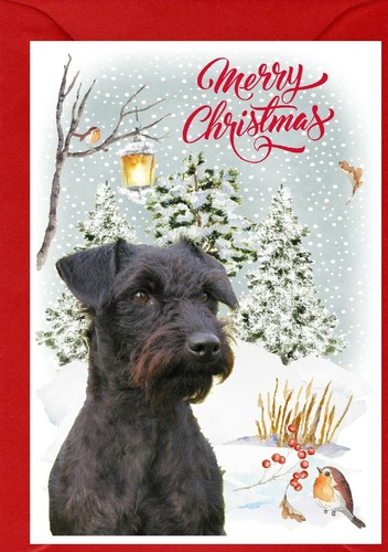 Patterdale terrier dog - terrier, (4"x