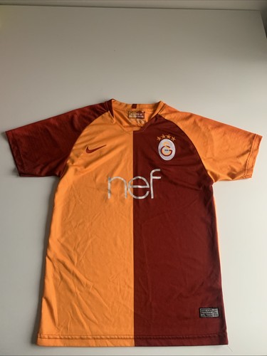 2018 galatasaray home - 2018/19,