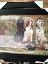 Irish & English Setters A3