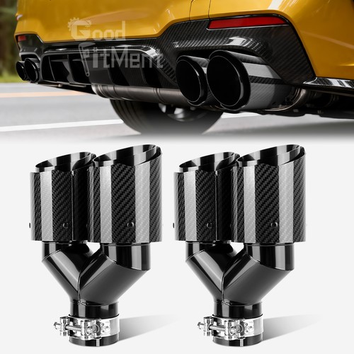 Pair twin carbon fiber - of,