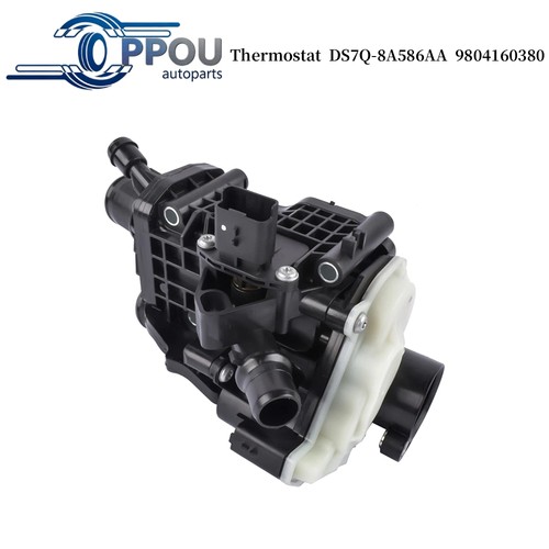 Thermostat with housing - with,