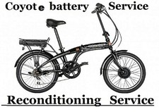 Viking Coyote Connect Electric