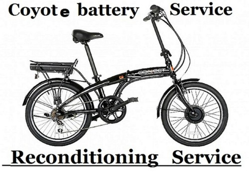 Viking coyote connect - connect, electric