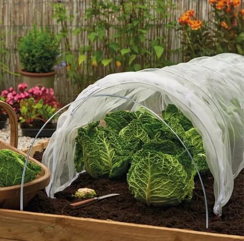 Poly tunnel cloche mini - poly,