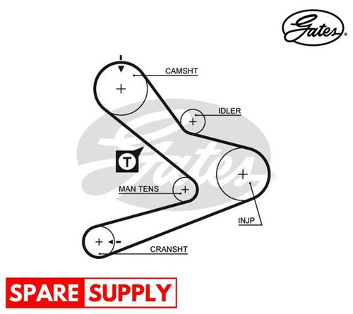 Timing belt for - for, renault