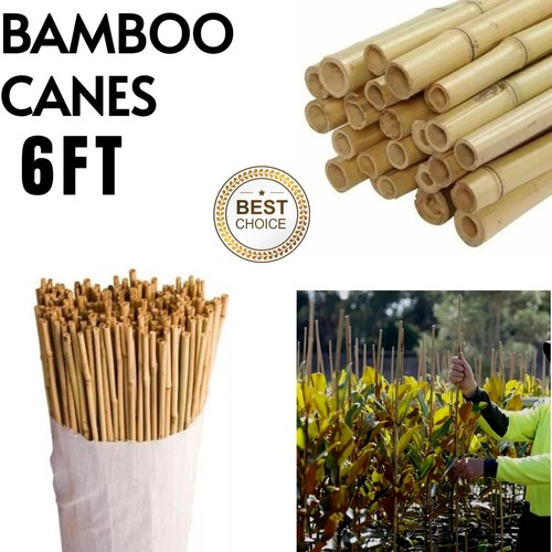 6ft heavy duty bamboo canes - bamboo,