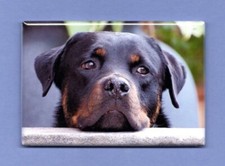 ROTTWEILER *2X3 FRIDGE MAGNET* DOG PET MAN'S BEST FRIEND K9 PUPPY BIG GUARD