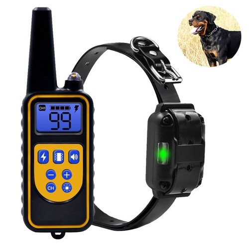 Waterproof dog training - waterproof,