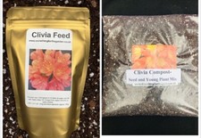 Clivia Growers Bundle, Feed & Compost (seed/young Plant). UK National Collection