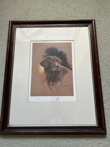 Mick cawston signed limited - cawston,