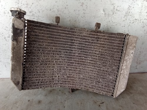 Honda cbr 600 radiator - honda,