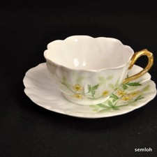Limoges T&V Cup & Saucer