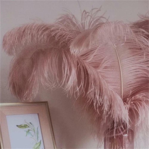Ostrich feathers plumes - feathers,